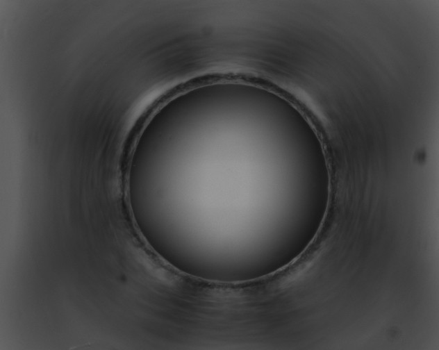 X0000091500927200708301954