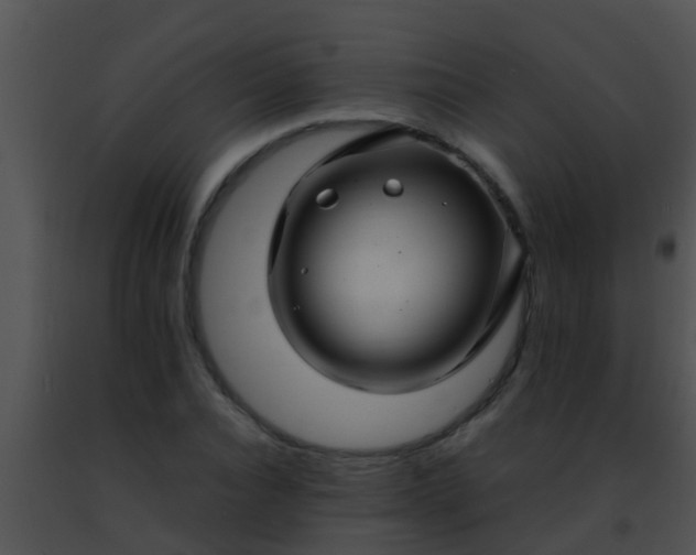 X0000091500928200708301954