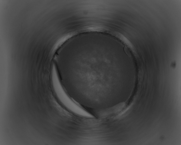 X0000091500930200708301955