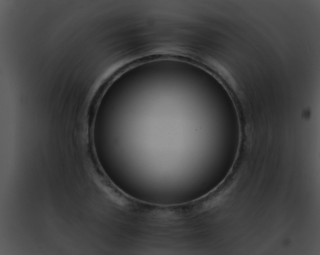 X0000091500931200708301955