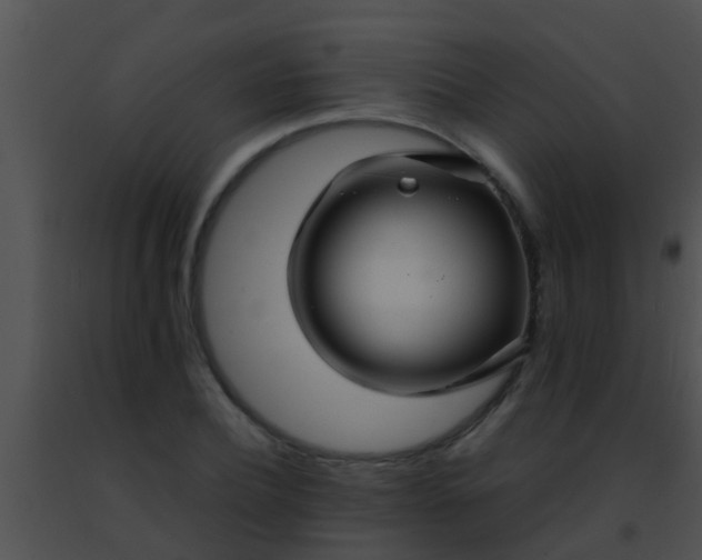 X0000091500932200708301955