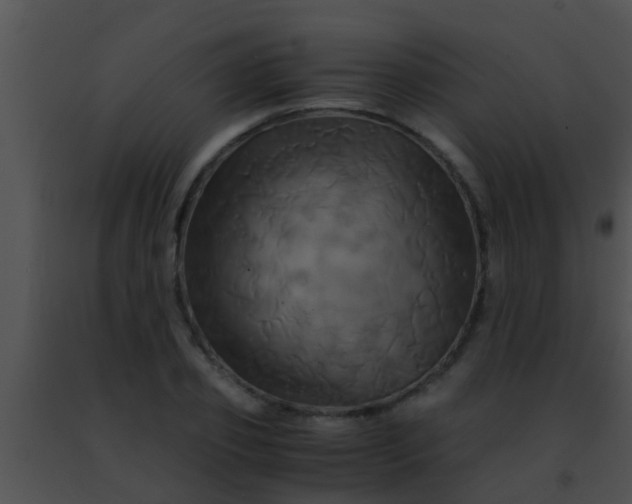 X0000091500933200708301955