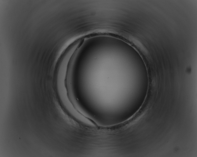 X0000091500934200708301955