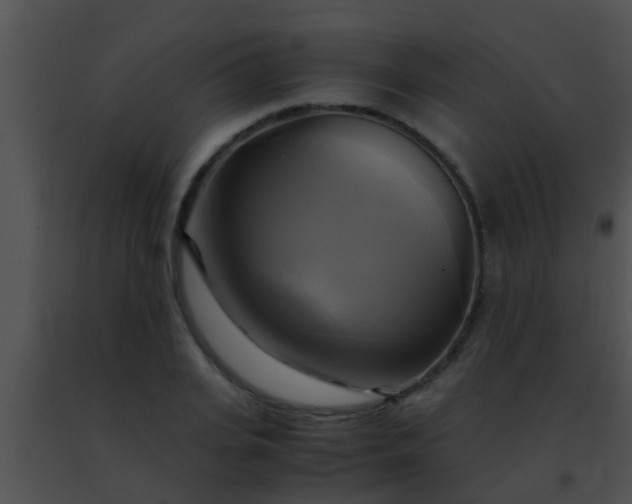 X0000091500935200708301955