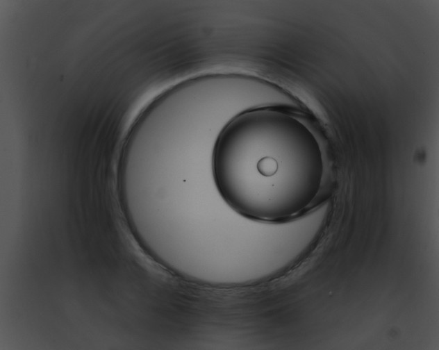 X0000091500936200708301955