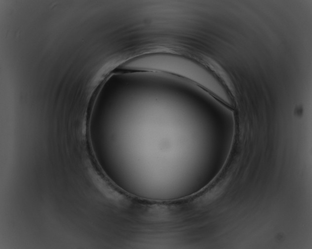 X0000091500938200708301955