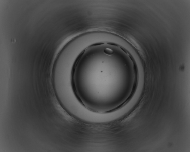 X0000091500940200708301955