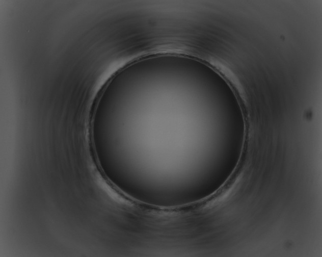 X0000091500941200708301955