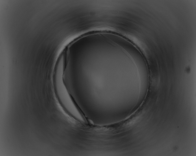 X0000091500943200708301955