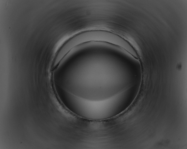 X0000091500944200708301955