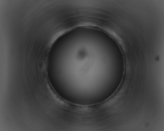 X0000091500945200708301955