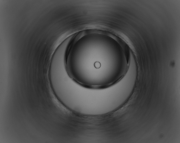 X0000091500946200708301955