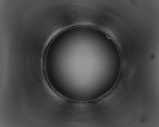 X0000091500947200708301955