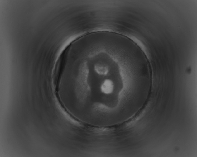 X0000091500949200708301955