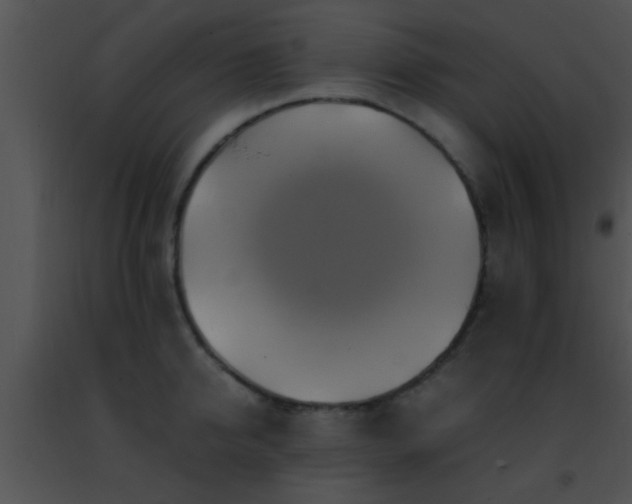 X0000091500950200708301955