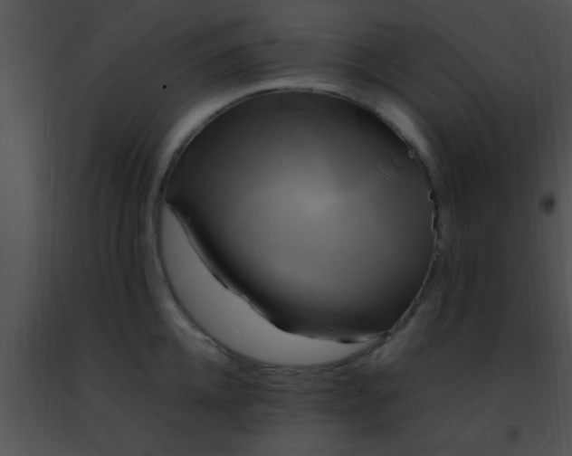 X0000091500952200708301955