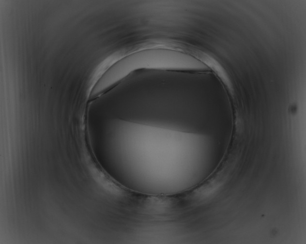 X0000091500954200708301955