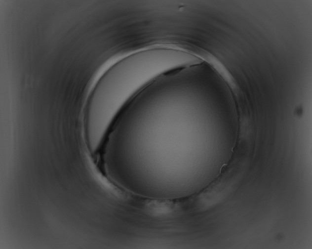 X0000091500955200708301955