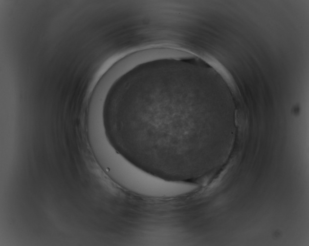 X0000091500956200708301955