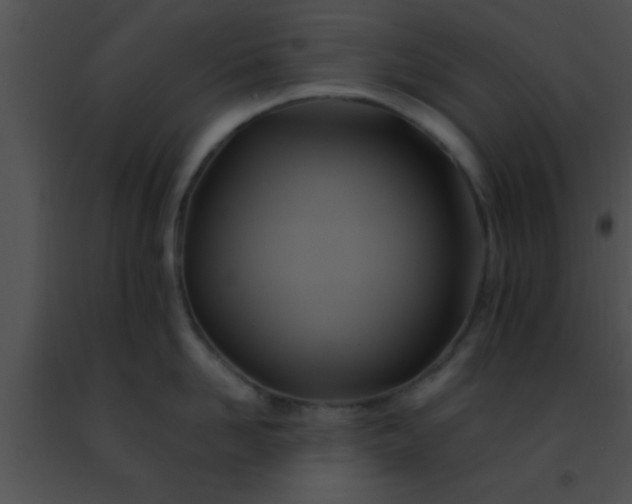 X0000091500958200708301955