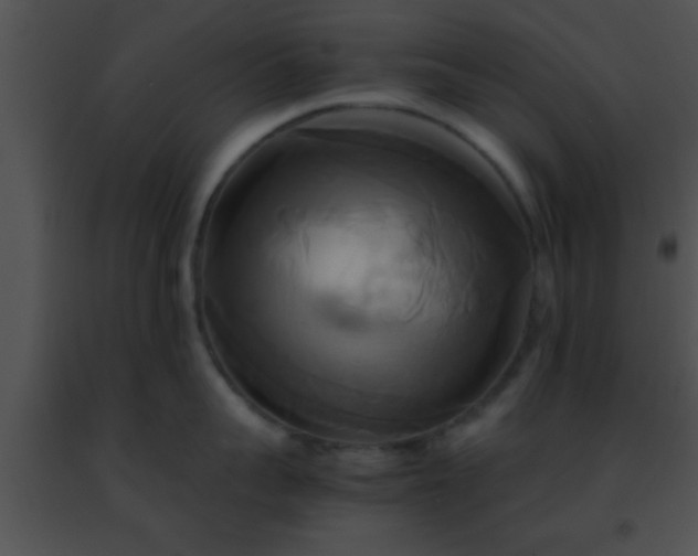 X0000091500959200708301955