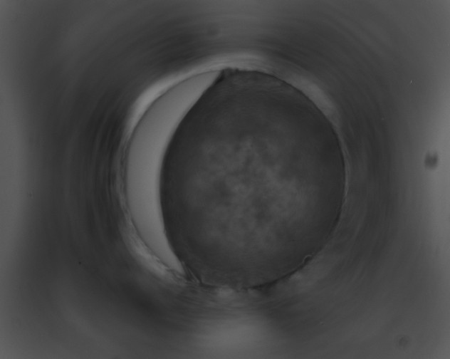 X0000091500960200708301955