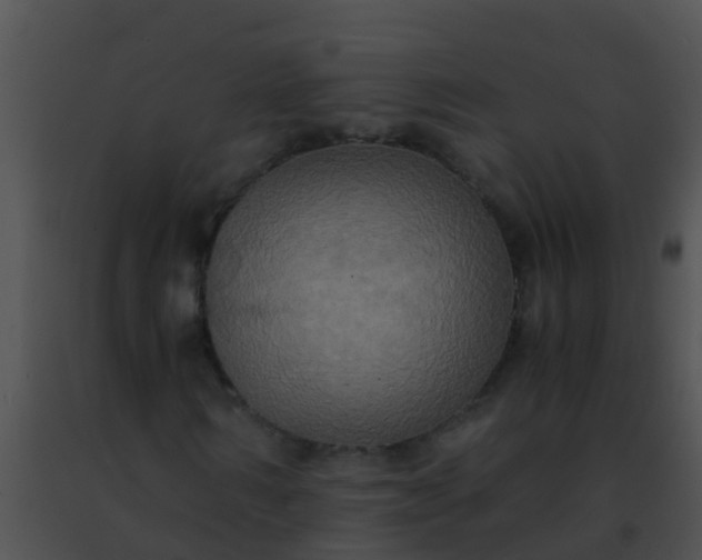 X0000091500962200708301954