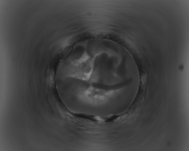 X0000091500963200708301954