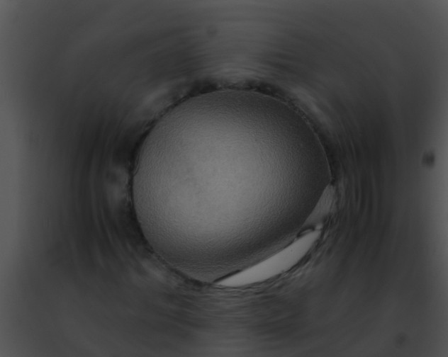 X0000091500964200708301954