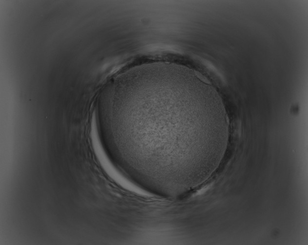 X0000091500965200708301954