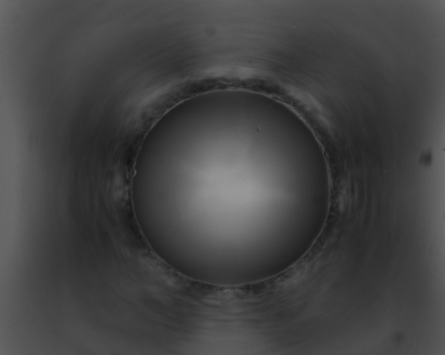 X0000091500966200708301954