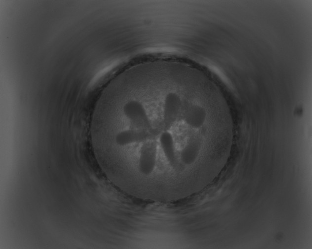 X0000091500967200708301954