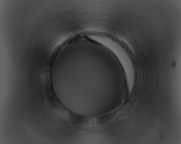 X0000091500968200708301954