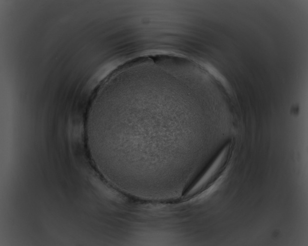 X0000091500969200708301954