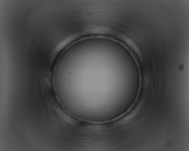 X0000091500970200708301954