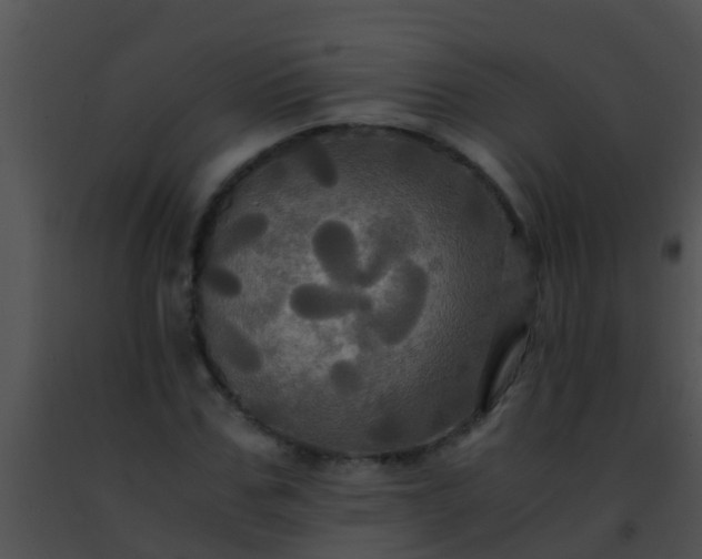 X0000091500971200708301954