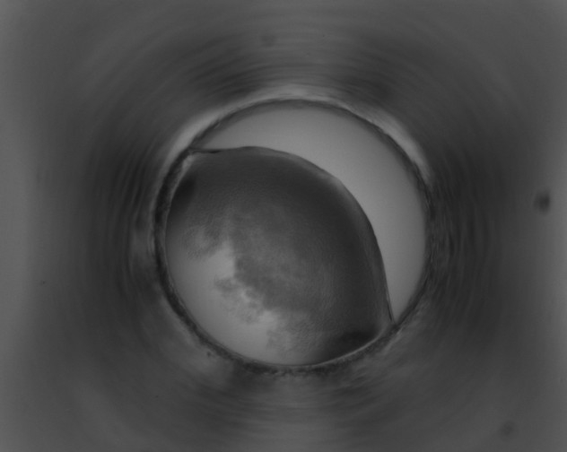 X0000091500972200708301954