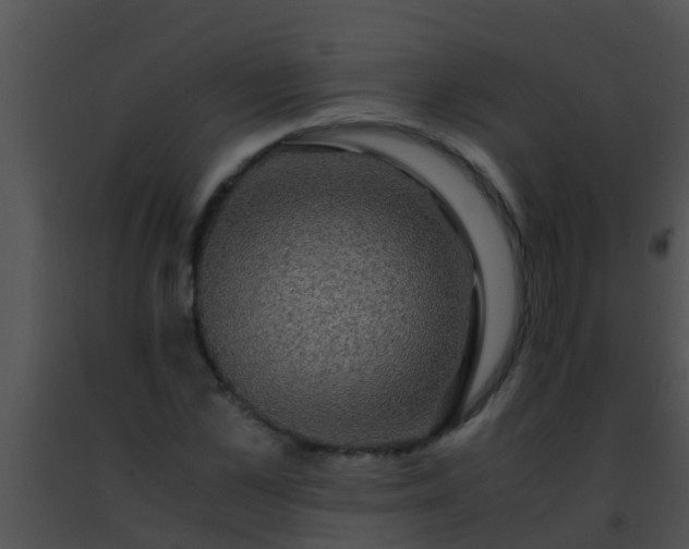 X0000091500973200708301954