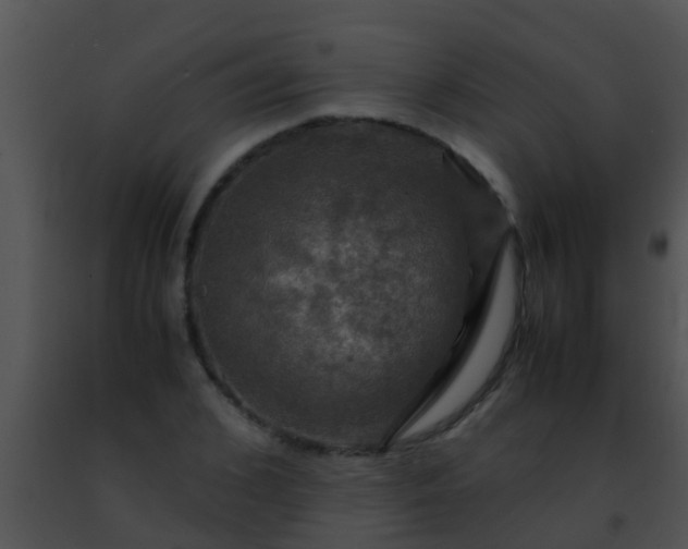 X0000091500976200708301954