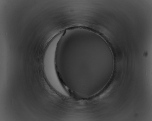 X0000091500977200708301954