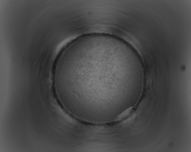 X0000091500979200708301954