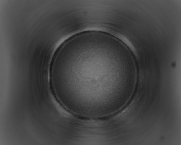 X0000091500980200708301954