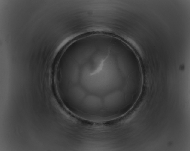 X0000091500983200708301954