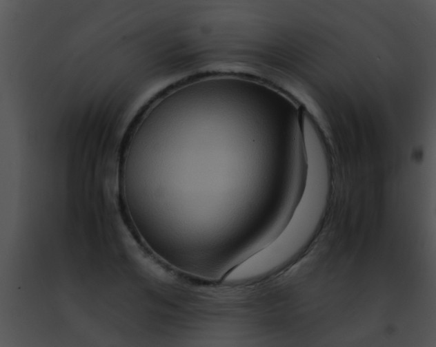 X0000091500984200708301954