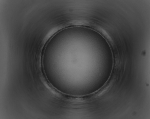 X0000091500986200708301954