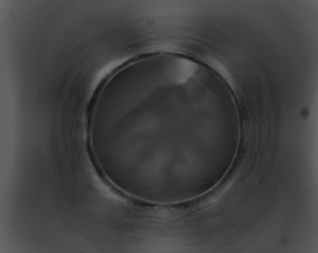 X0000091500987200708301954