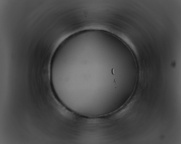 X0000091500988200708301954