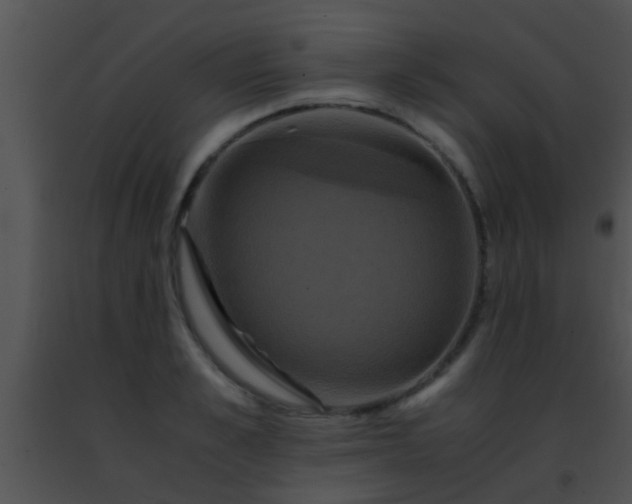 X0000091500989200708301954