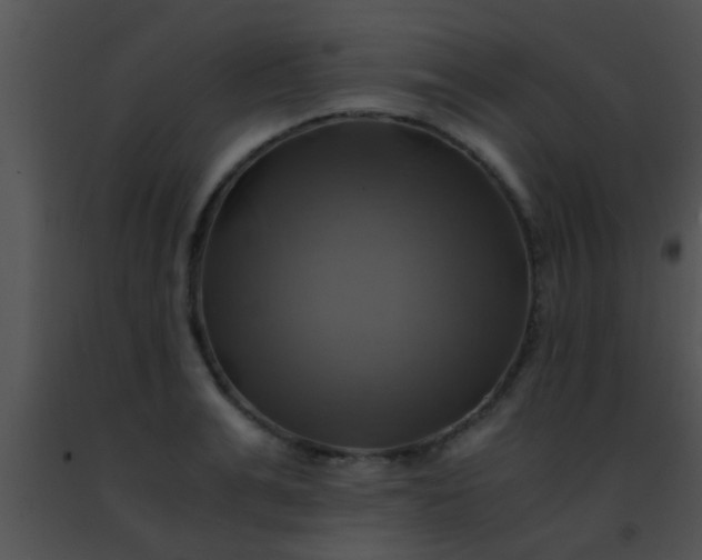 X0000091500991200708301954