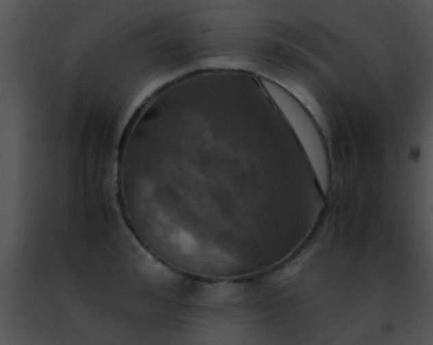 X0000091500992200708301954